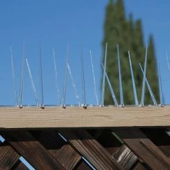 Bird B Gone Enviro Spike 10 ft. x 5 in. Plastic Bird Spikes 9 Bird B Gone Enviro Spike 10 ft. x 5 in. Plastic Bird Spikes -Algreen Sales Store bird b gone animal barriers 100521839 4f 1000