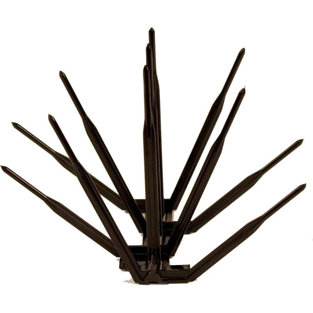Bird B Gone 100 ft. x 7 in. Black Plastic Bird Spike 3 Bird B Gone 100 ft. x 7 in. Black Plastic Bird Spike - Image 3