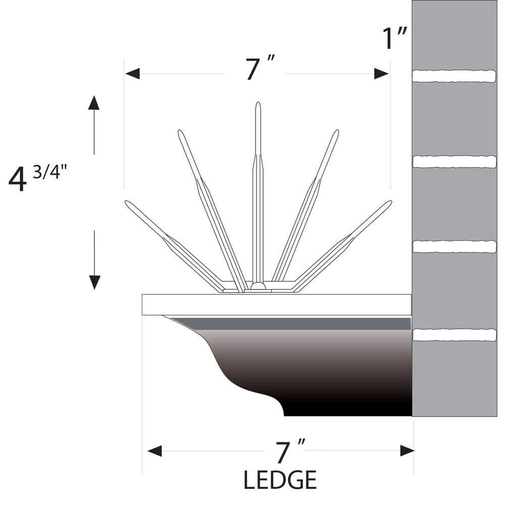 Bird B Gone 100 ft. x 7 in. Clear Plastic Bird Spikes 5 Bird B Gone 100 ft. x 7 in. Clear Plastic Bird Spikes - Image 5