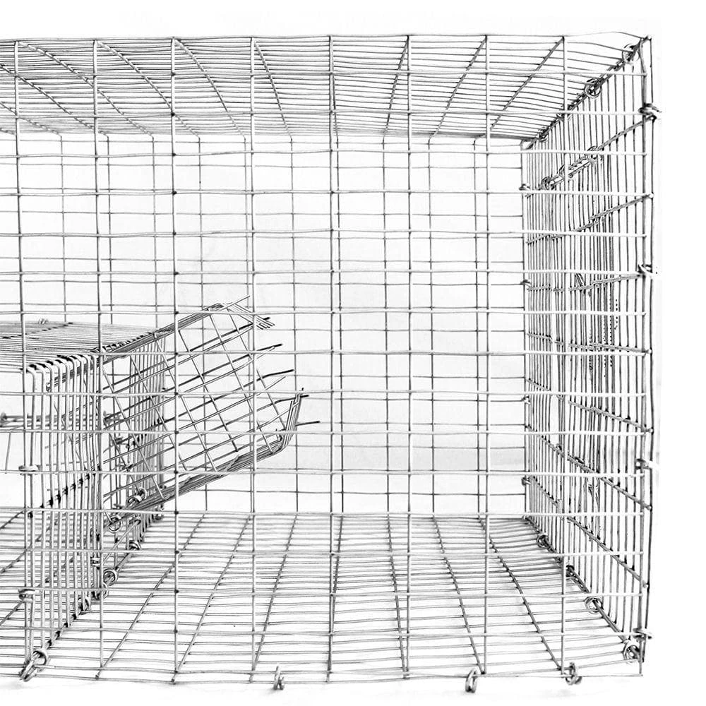Bird B Gone Sparrow Trap with Two Chambers (8 in. x 12 in. x 16 in.) 3 Bird B Gone Sparrow Trap with Two Chambers (8 in. x 12 in. x 16 in.) - Image 3