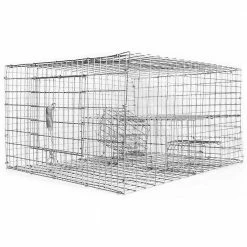 Bird B Gone Sparrow Trap with Two Chambers (8 in. x 12 in. x 16 in.)