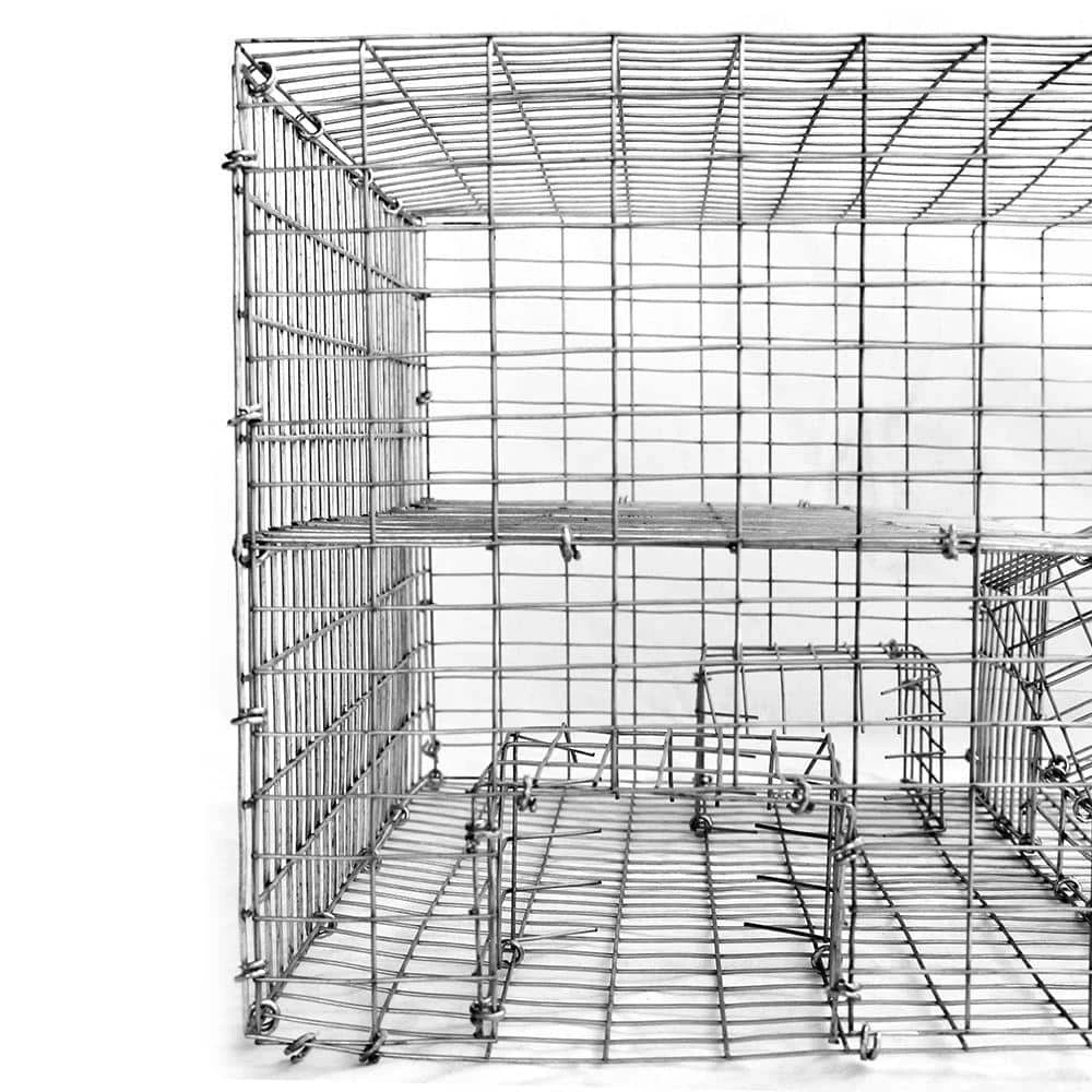 Bird B Gone Sparrow Trap with Two Chambers (8 in. x 12 in. x 16 in.) 2 Bird B Gone Sparrow Trap with Two Chambers (8 in. x 12 in. x 16 in.) - Image 2