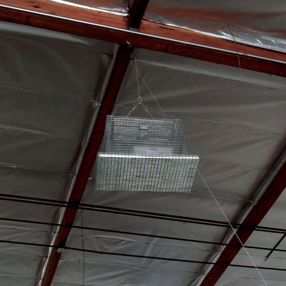 Bird B Gone Sparrow Sky Trap 2 Bird B Gone Sparrow Sky Trap - Image 2