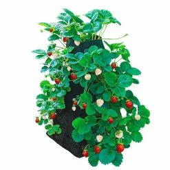 Gardens Alive! 3.50 Gal. Capacity Fabric Geo Textile Strawberry Growing Tower