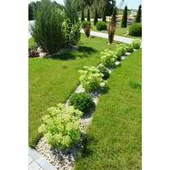 Master Mark 40 ft. Master Gardener Lifetime Coiled Edging 8 Master Mark 40 ft. Master Gardener Lifetime Coiled Edging -Algreen Sales Store black master mark garden stakes 25840 4f 1000