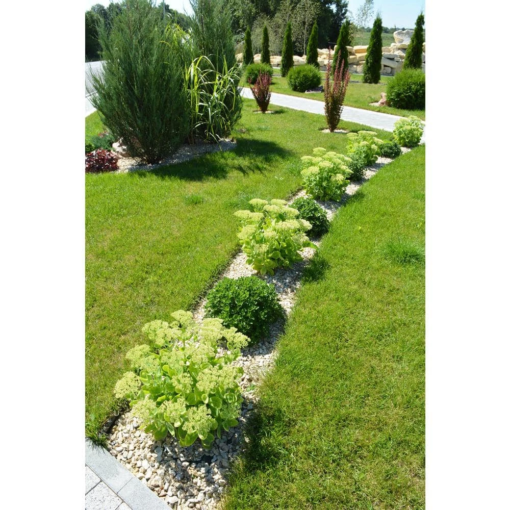Master Mark 40 ft. Master Gardener Lifetime Coiled Edging 3 Master Mark 40 ft. Master Gardener Lifetime Coiled Edging - Image 3