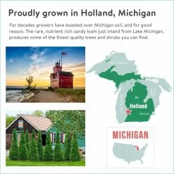 Gardens Alive! 24 in. to 30 in. Tall Burning Bush (Euonymus), Live Deciduous Bareroot Shrub, Green Foliage turns Red in Fall (1-Pack) -Algreen Sales Store gardens alive bushes 64567 44 1000