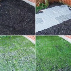 Gardens Alive! 18 in. x 48 in. Turf Alive III Lawn Seed Mat with Rhizomes -Algreen Sales Store gardens alive grass seed 2198 76 1000