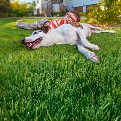 Gardens Alive! 30 lbs. Turf Alive! Grass Seed with Rhizomes 10 Gardens Alive! 30 lbs. Turf Alive! Grass Seed with Rhizomes -Algreen Sales Store gardens alive grass seed 2348 44 1000