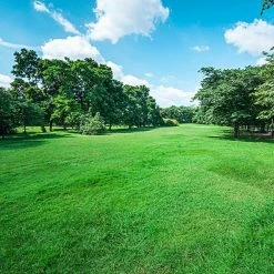 Gardens Alive! 30 lbs. Turf Alive! Grass Seed with Rhizomes 8 Gardens Alive! 30 lbs. Turf Alive! Grass Seed with Rhizomes -Algreen Sales Store gardens alive grass seed 2348 4f 1000