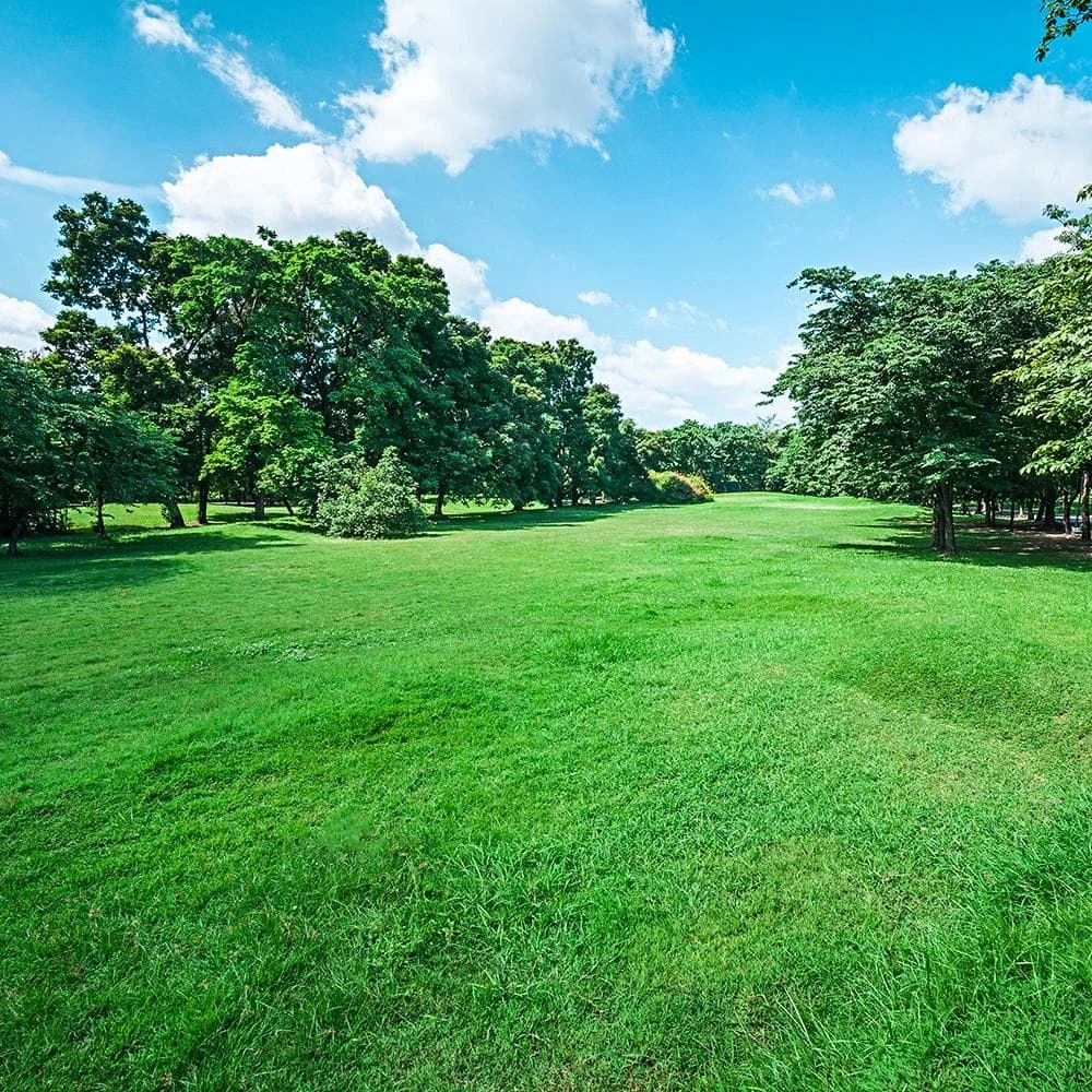 Gardens Alive! 30 lbs. Turf Alive! Grass Seed with Rhizomes 3 Gardens Alive! 30 lbs. Turf Alive! Grass Seed with Rhizomes - Image 3