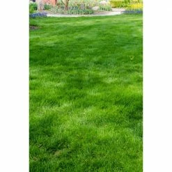 Gardens Alive! 6 lbs. All-Ways Greener Grass Seed Mixture
