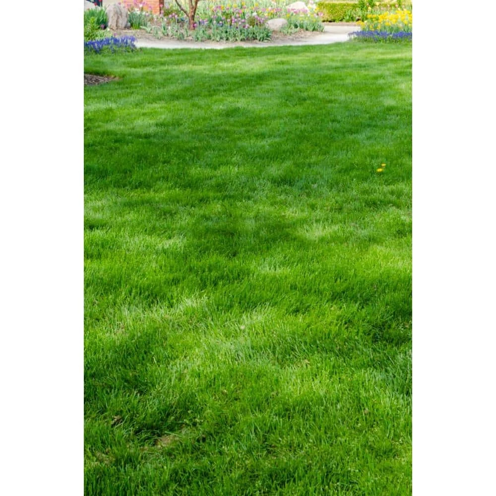 Gardens Alive! 6 lbs. All-Ways Greener Grass Seed Mixture 1 Gardens Alive! 6 lbs. All-Ways Greener Grass Seed Mixture
