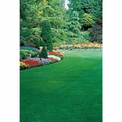 Gardens Alive! 6 lbs. Healthy Lawn Grass Seed, Tall Fescue Variety