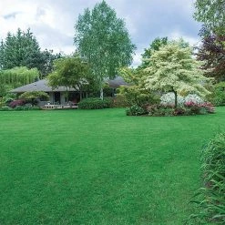 Gardens Alive! 4 lbs. Northern Turf Alive! Grass Seed Mixture