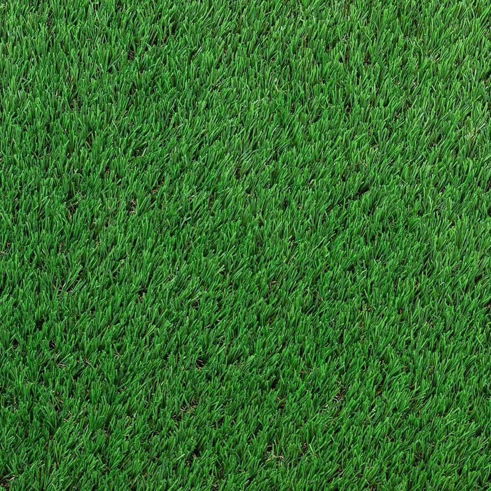 TrafficMaster Fescue Multipurpose 12 ft. Wide x Cut to Length Green Artificial Grass Carpet 7 TrafficMaster Fescue Multipurpose 12 ft. Wide x Cut to Length Green Artificial Grass Carpet - Image 7