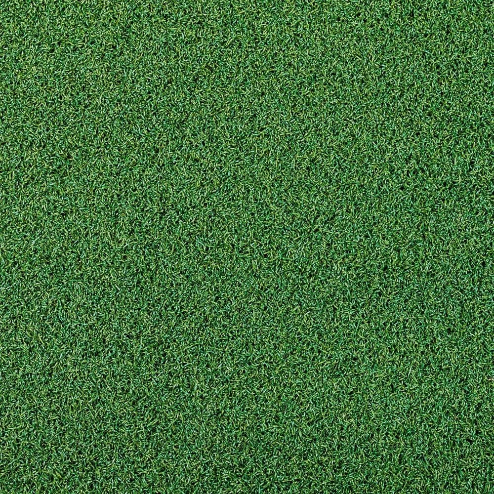 TrafficMaster Putting Green 6 ft. Wide x Cut to Length Artificial Grass Carpet 7 TrafficMaster Putting Green 6 ft. Wide x Cut to Length Artificial Grass Carpet - Image 7