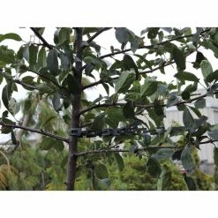 Master Mark Chainlock 1/2 in. x 100 ft. Tree Support -Algreen Sales Store master mark garden wire 30200 4f 1000