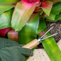 Nisaku Double Claw Cultivator -Algreen Sales Store nisaku cultivators njp956 fa 1000