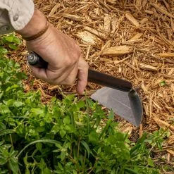 Nisaku NJP110 Kusakaki Stainless Steel Handheld Garden Hoe, 4.75 in. Blade -Algreen Sales Store nisaku garden hoes njp110 31 1000