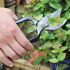 Nisaku Carbon Steel Pruner/Secateurs with Genuine Leather Holster and Non-Slip Grip -Algreen Sales Store nisaku pruning shears njpsc1 1f 1000