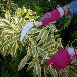 Nisaku 8 in. Stainless Steel Saw Tooth Sickle Blade -Algreen Sales Store nisaku weeders njp1040 1d 1000