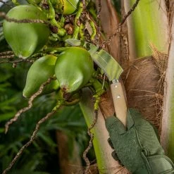 Nisaku 8 in. Stainless Steel Saw Tooth Sickle Blade -Algreen Sales Store nisaku weeders njp1040 31 1000