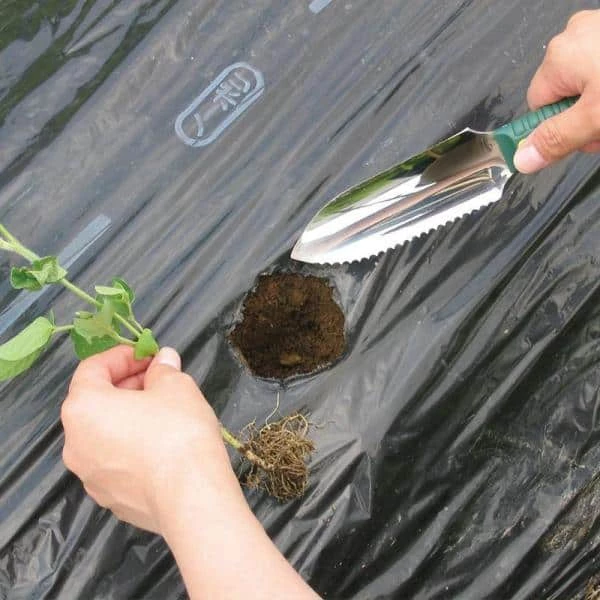 Nisaku 5 in. Blade Stainless Steel Mini Leisure Knife 4 Nisaku 5 in. Blade Stainless Steel Mini Leisure Knife - Image 4