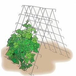 Gardens Alive! Cucumber Garden Growing Support