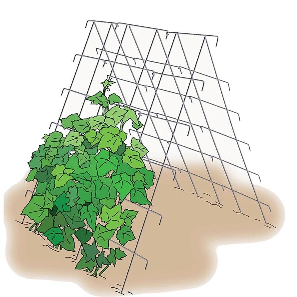Gardens Alive! Cucumber Garden Growing Support 1 Gardens Alive! Cucumber Garden Growing Support