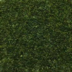 Algreen Sales Store -Algreen Sales Store trafficmaster artificial grass prt337046 15lf c3 1000